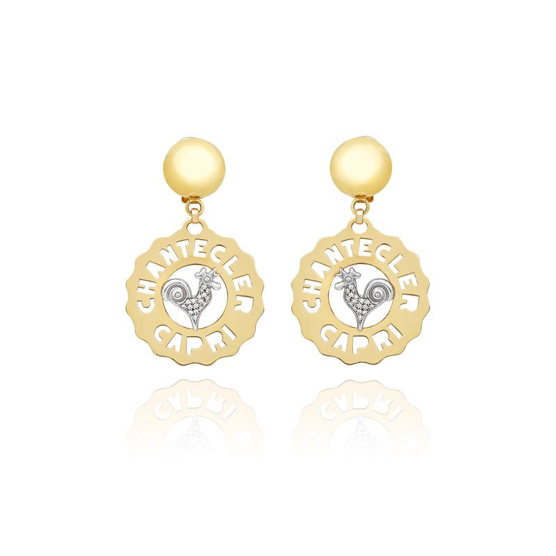 Logo earrings