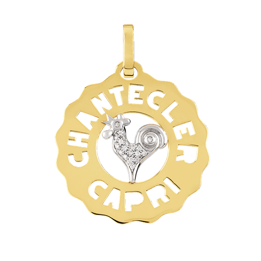 Logo pendant