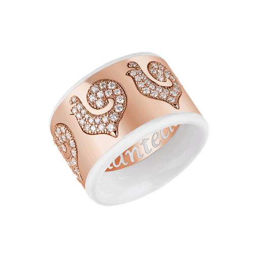 Carousèl ring