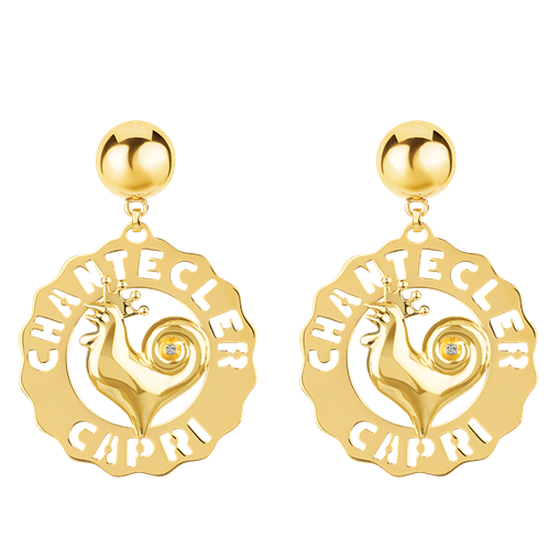 Logo earrings