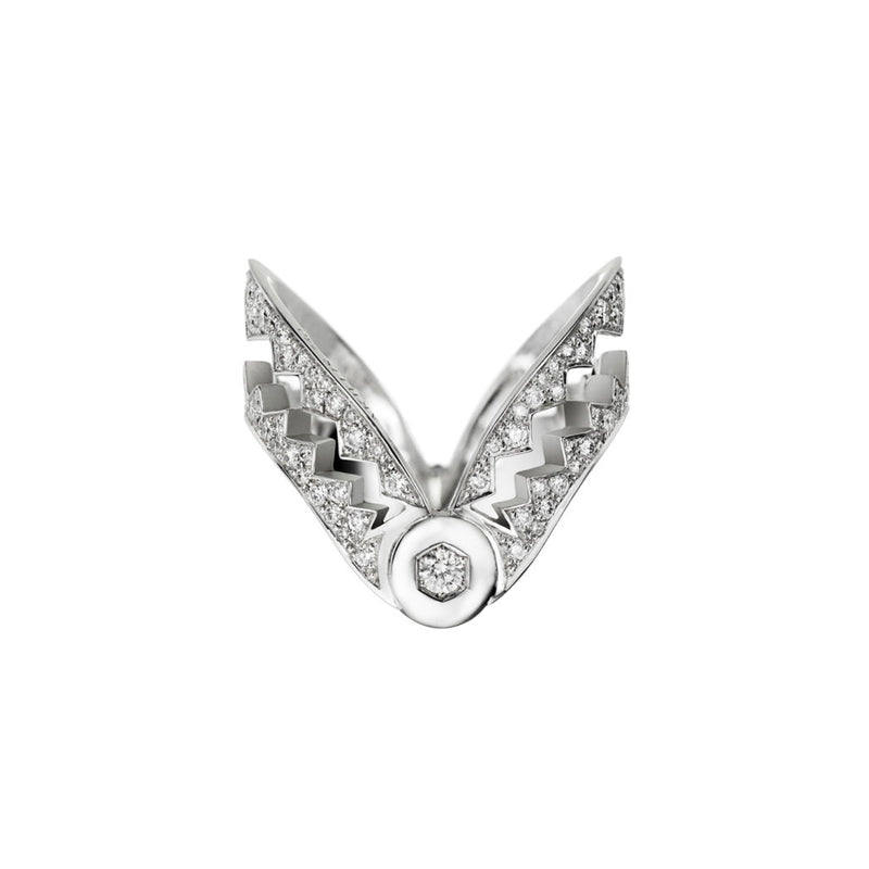 Anello Capture V