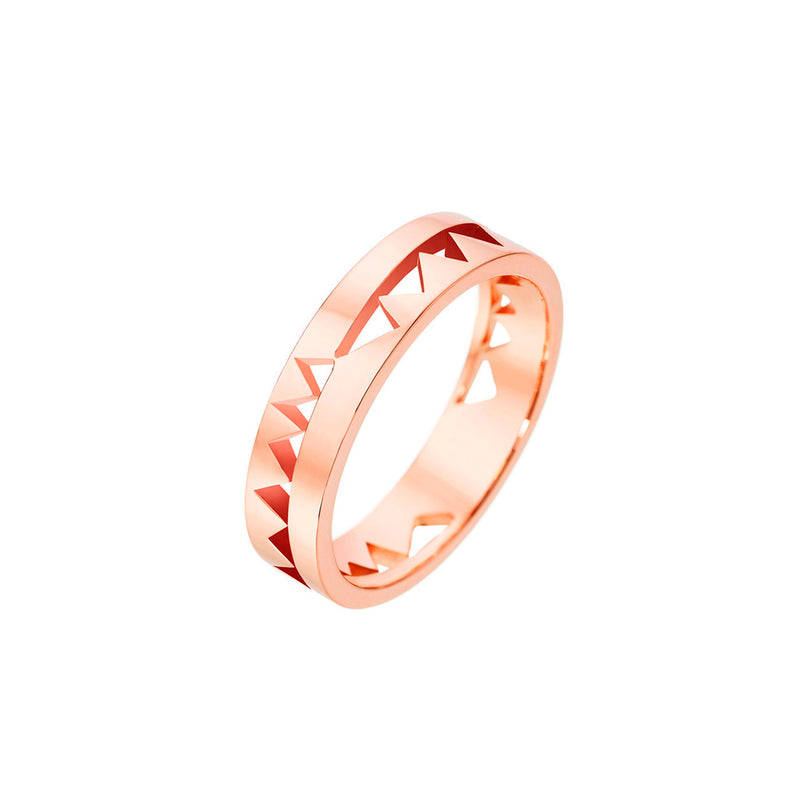 Anello Capture