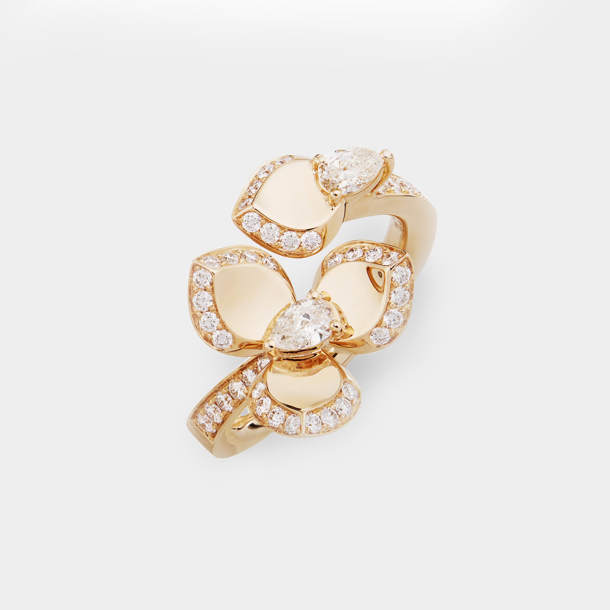 Anello Dame
