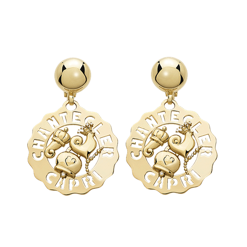 Logo earrings
