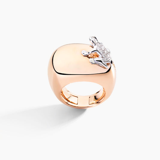 Anello Happy Frog