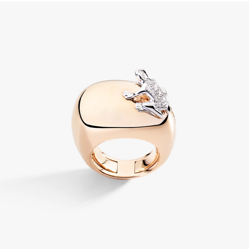 Anello Happy Frog